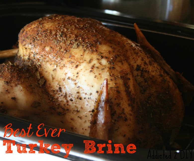 Best Ever Turkey Brine_69215af2cf452.jpeg