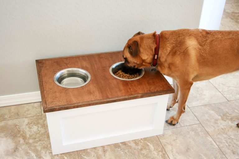 DIY Dog Food Station with Storage_69215a56040a7.jpeg